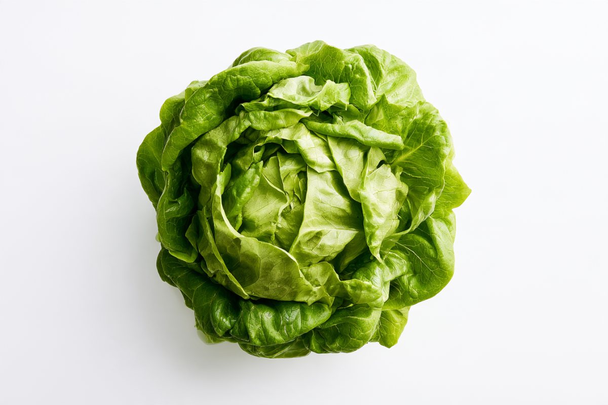 Lettuce